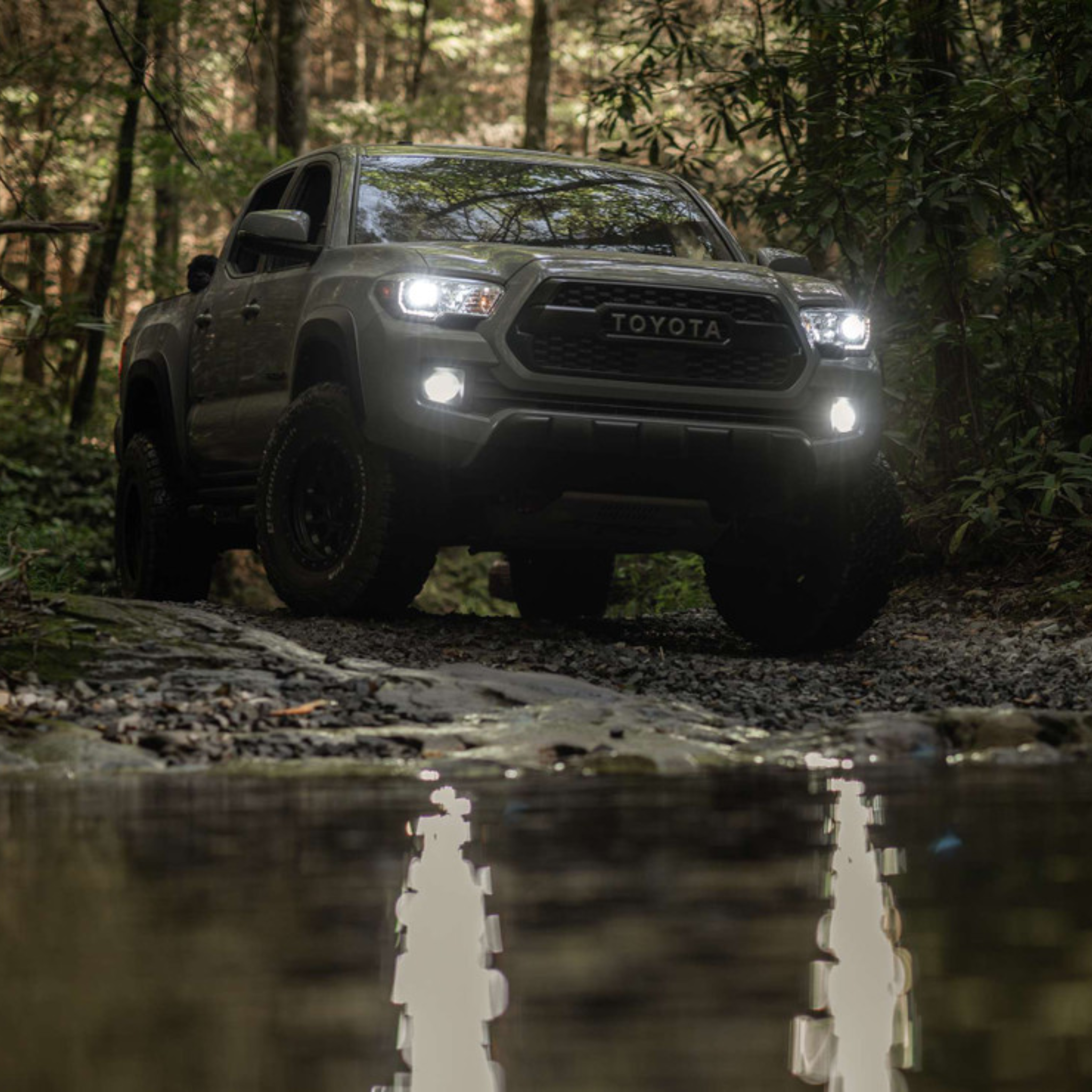 MORIMOTO 2STROKE 4.0 LED BULBS – Custom Multicolor LED Lighting by RGB Halo Kits