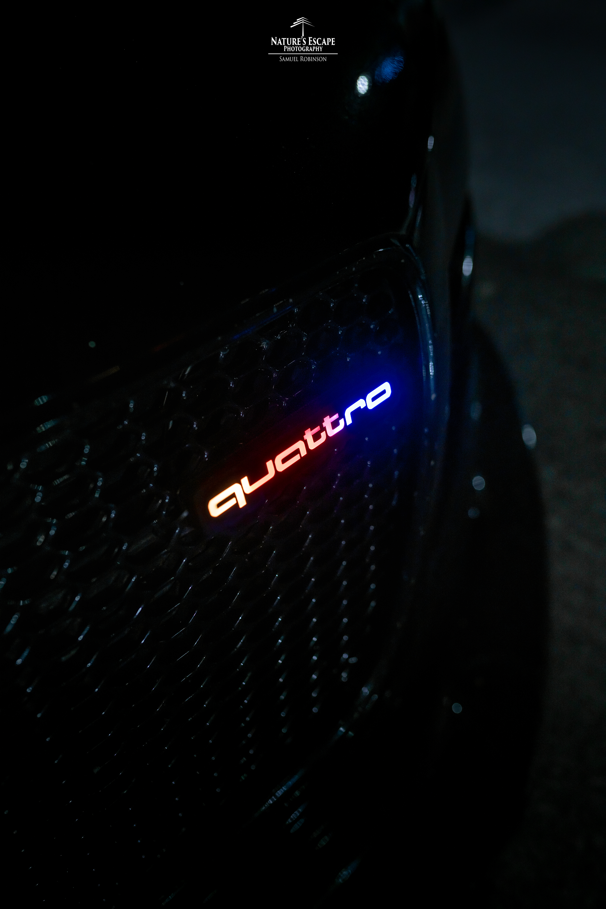 Lit Logos Lit Logos Quattro Badge