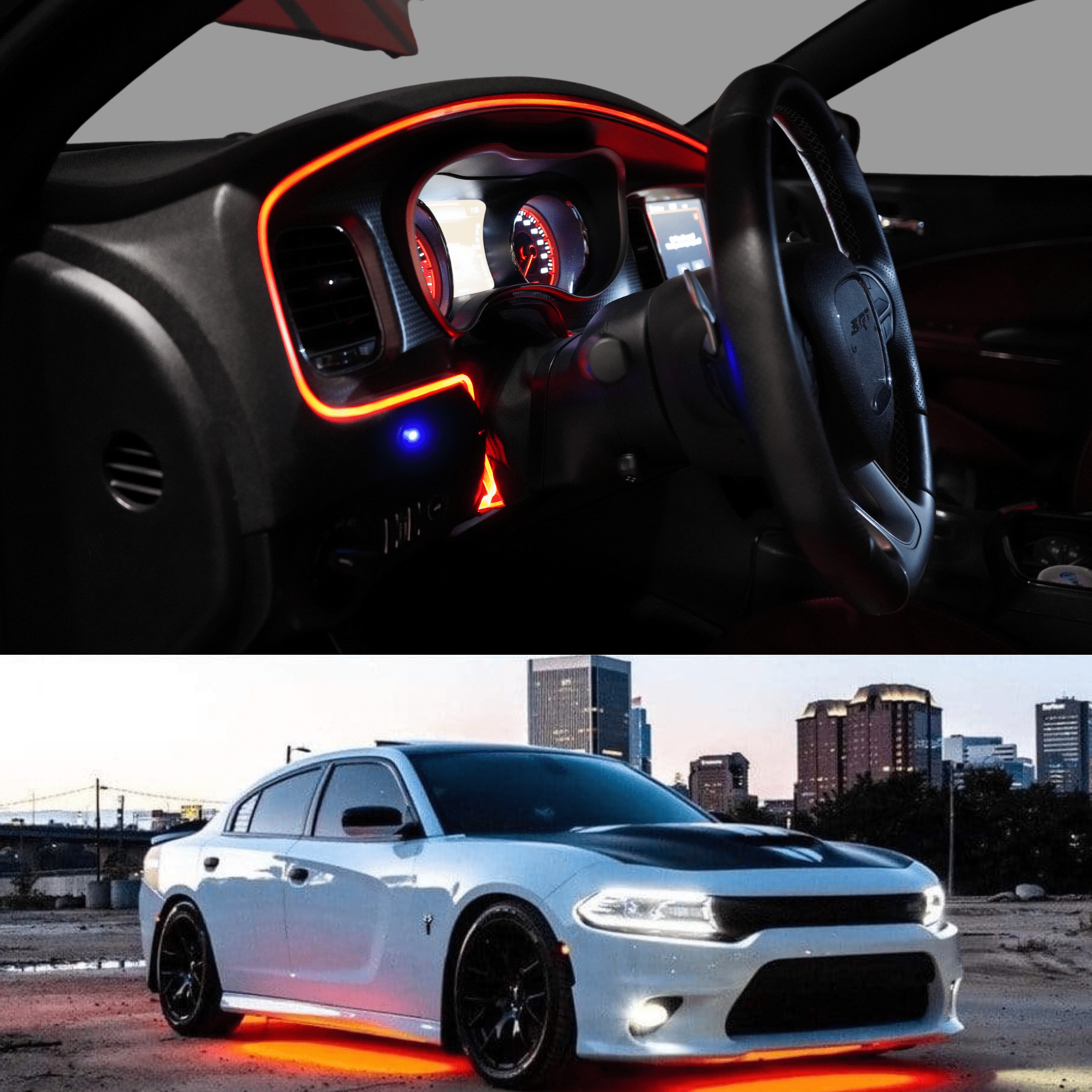 Elite Glow Bundle – Custom Multicolor LED Lighting by RGB Halo Kits