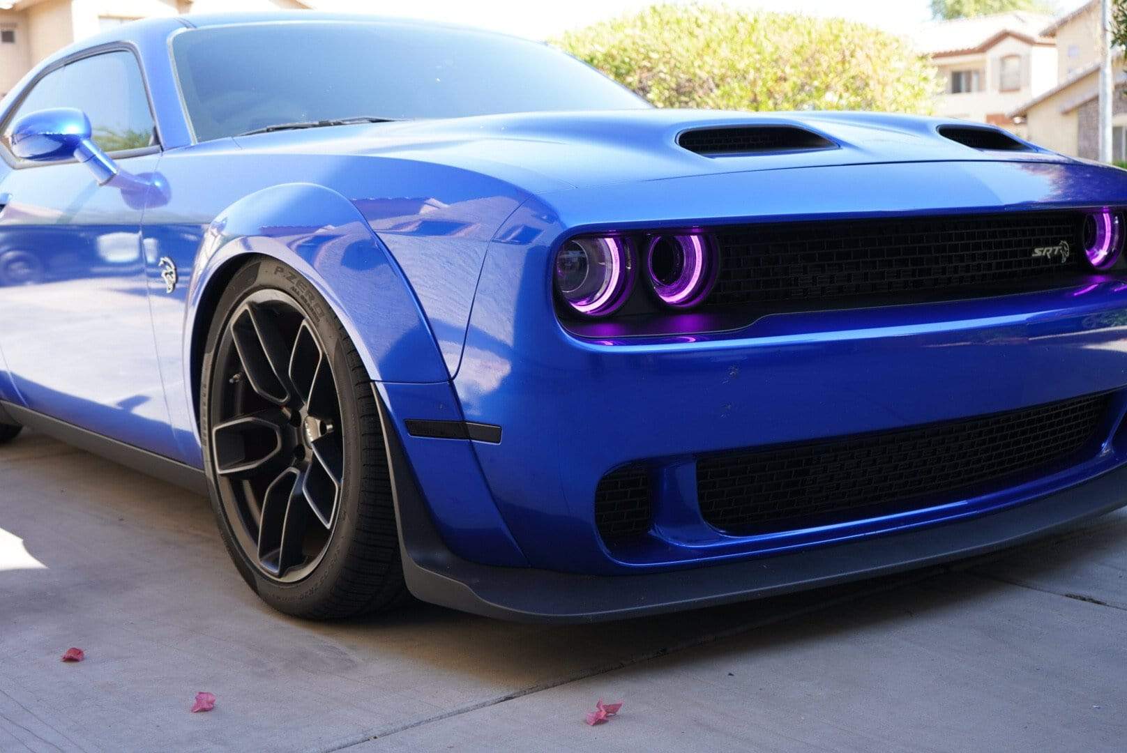 2015-2024 Dodge Challenger RGBW DRL Boards - RGB Halo Kits Multicolor Flow Series Color Chasing RGBWA LED headlight kit Oracle Lighting Trendz OneUpLighting Morimoto theretrofitsource AutoLEDTech Diode Dynamics