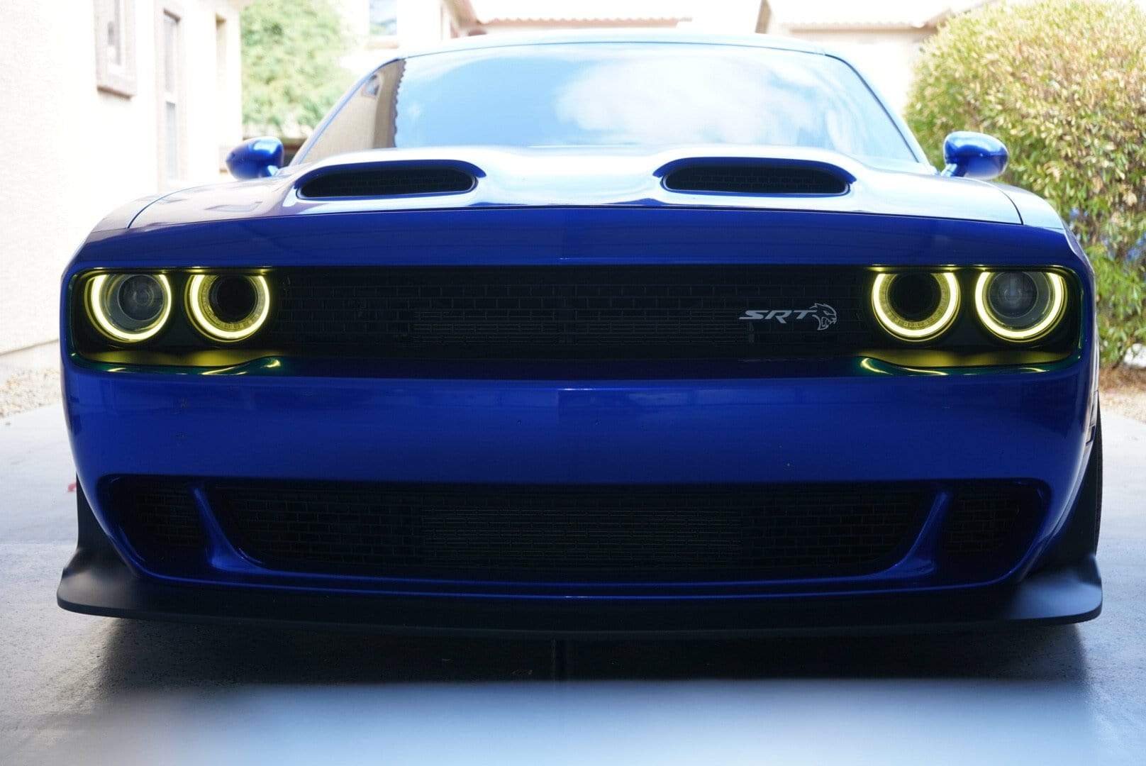 2015-2024 Dodge Challenger RGBW DRL Boards - RGB Halo Kits Multicolor Flow Series Color Chasing RGBWA LED headlight kit Oracle Lighting Trendz OneUpLighting Morimoto theretrofitsource AutoLEDTech Diode Dynamics