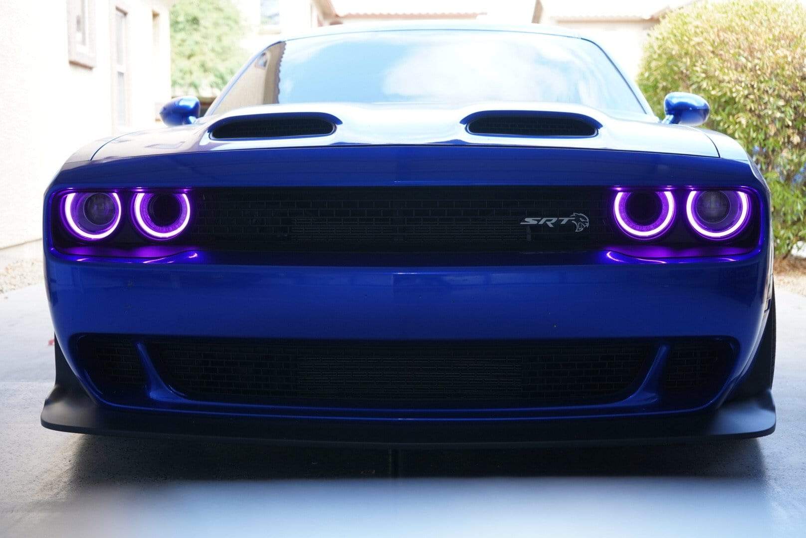 2015-2024 Dodge Challenger RGBW DRL Boards - RGB Halo Kits Multicolor Flow Series Color Chasing RGBWA LED headlight kit Oracle Lighting Trendz OneUpLighting Morimoto theretrofitsource AutoLEDTech Diode Dynamics