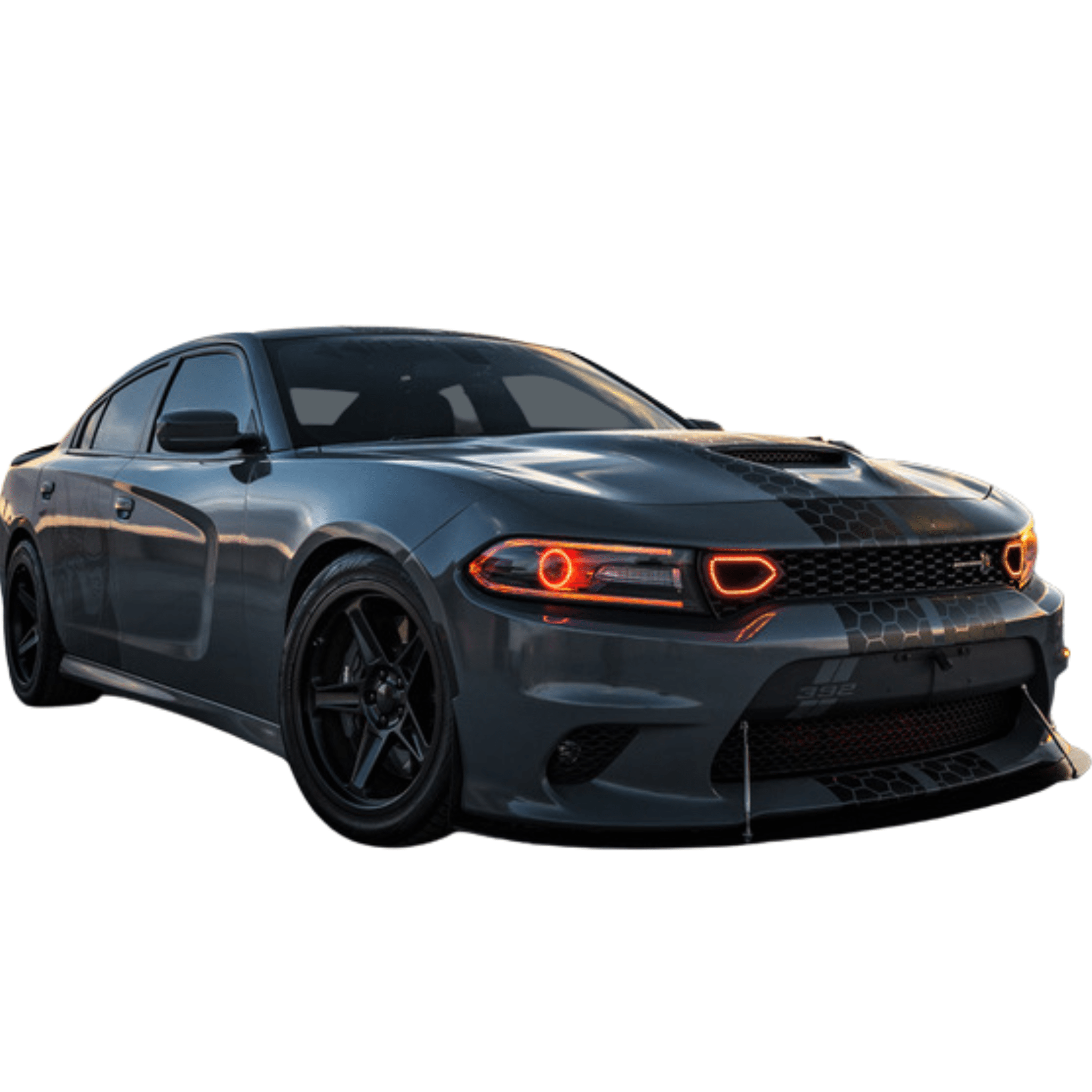 2015-2023 Dodge Charger RGBW DRL Boards - RGB Halo Kits Multicolor Flow Series Color Chasing RGBWA LED headlight kit Oracle Lighting Trendz OneUpLighting Morimoto theretrofitsource AutoLEDTech Diode Dynamics