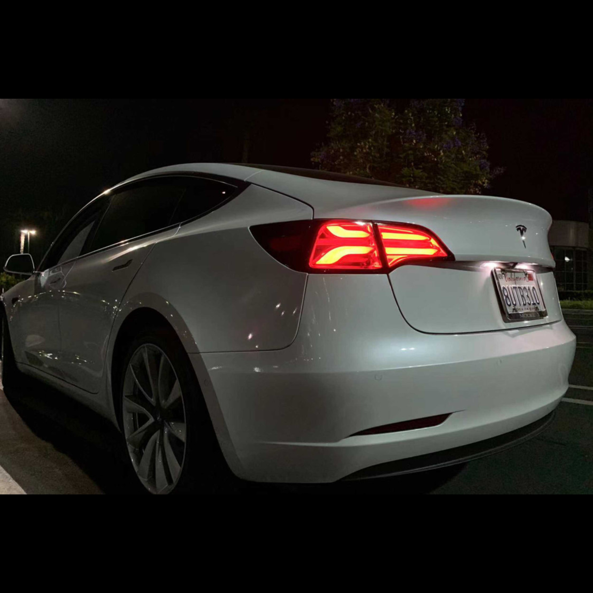 TESLA MODEL 3 / MODEL Y: ALPHAREX PRO LED TAIL LIGHTS