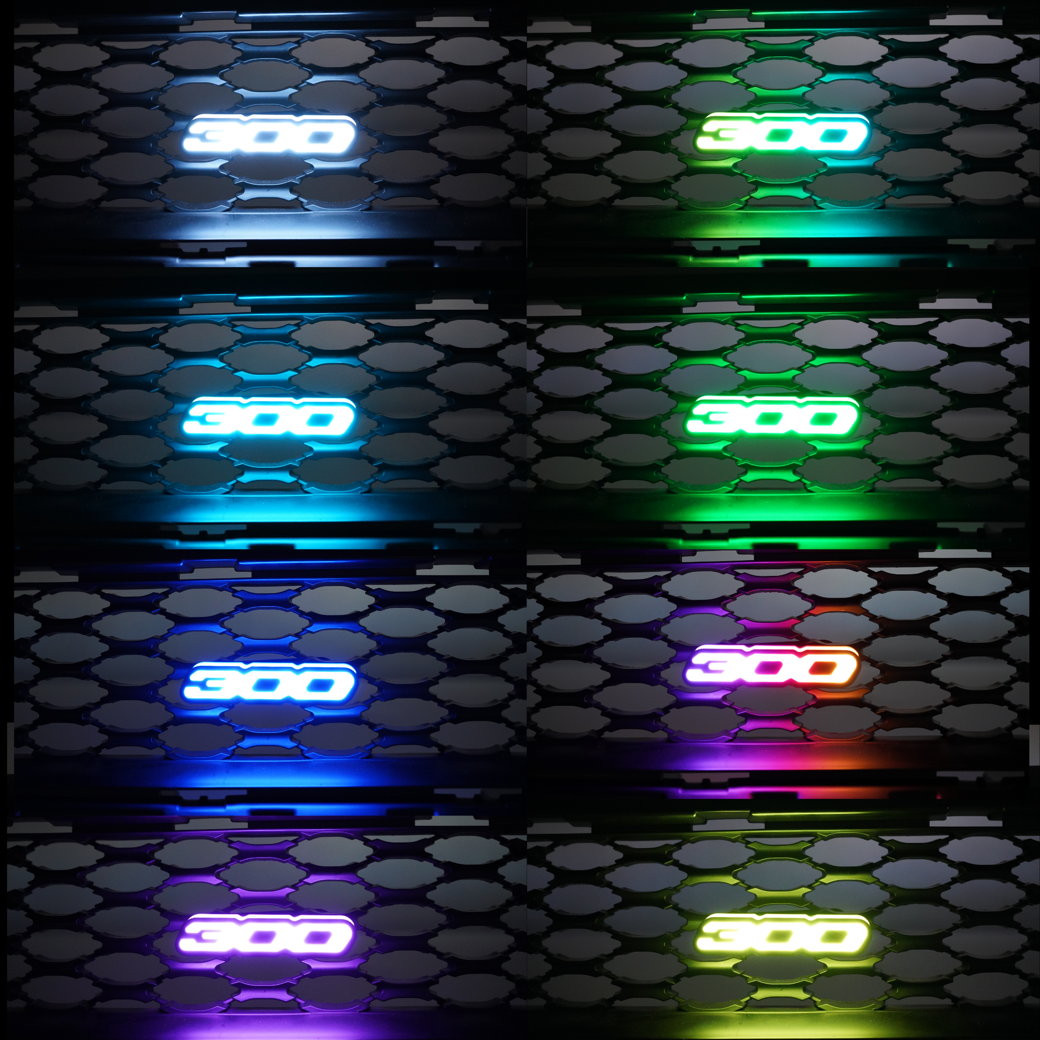 300 LED Emblem Badge: (Multicolor)