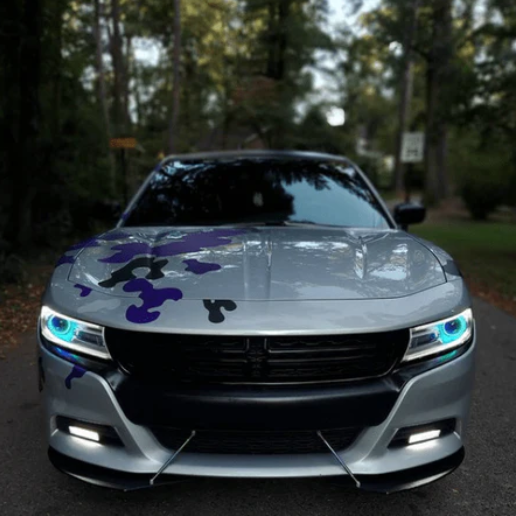 Dodge Charger Multicolor Halo Kit (2015-2023)