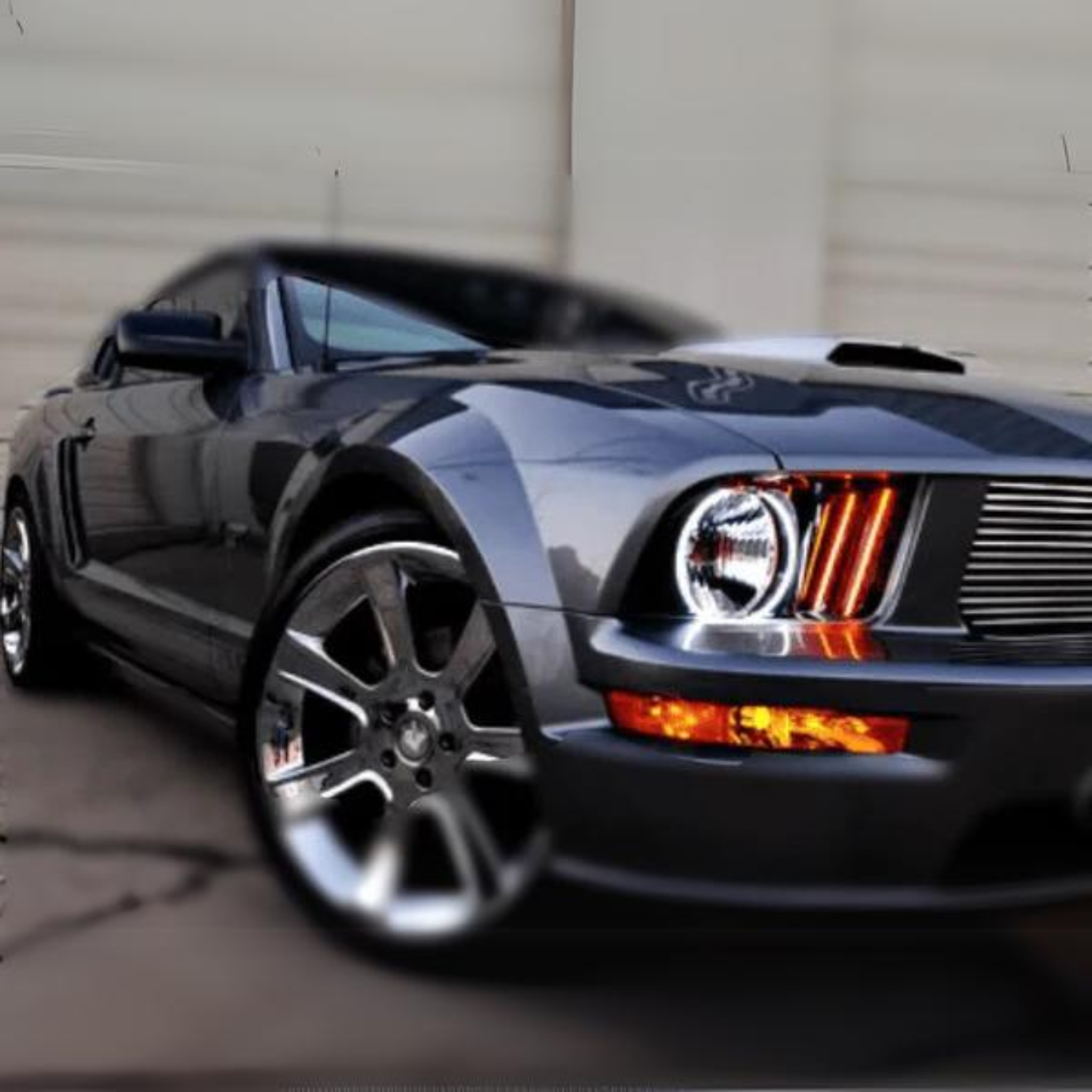 Ford Mustang Multicolor Halo Kit (2005-2009)