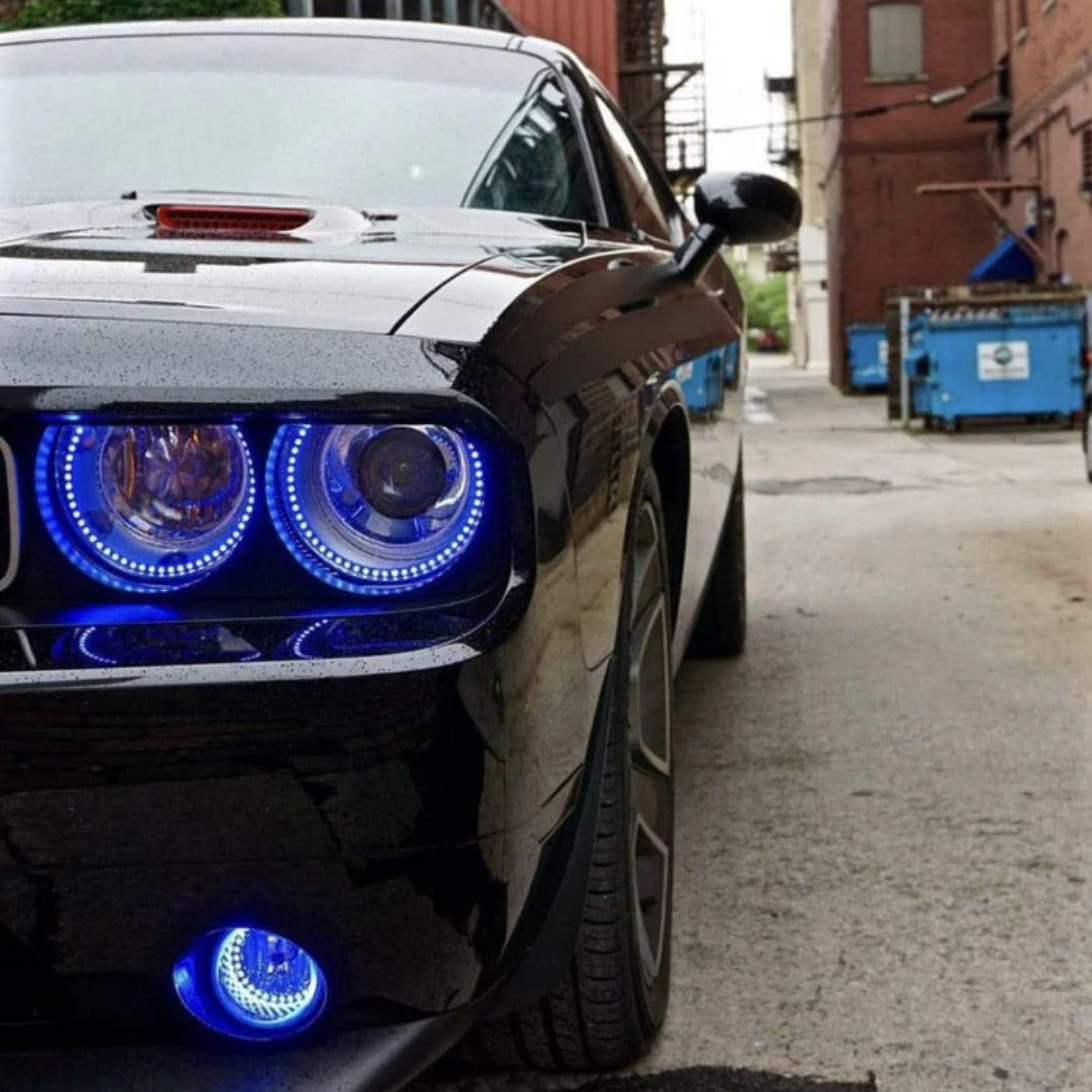 Dodge Challenger Multicolor Halo Kit (2008-2014)