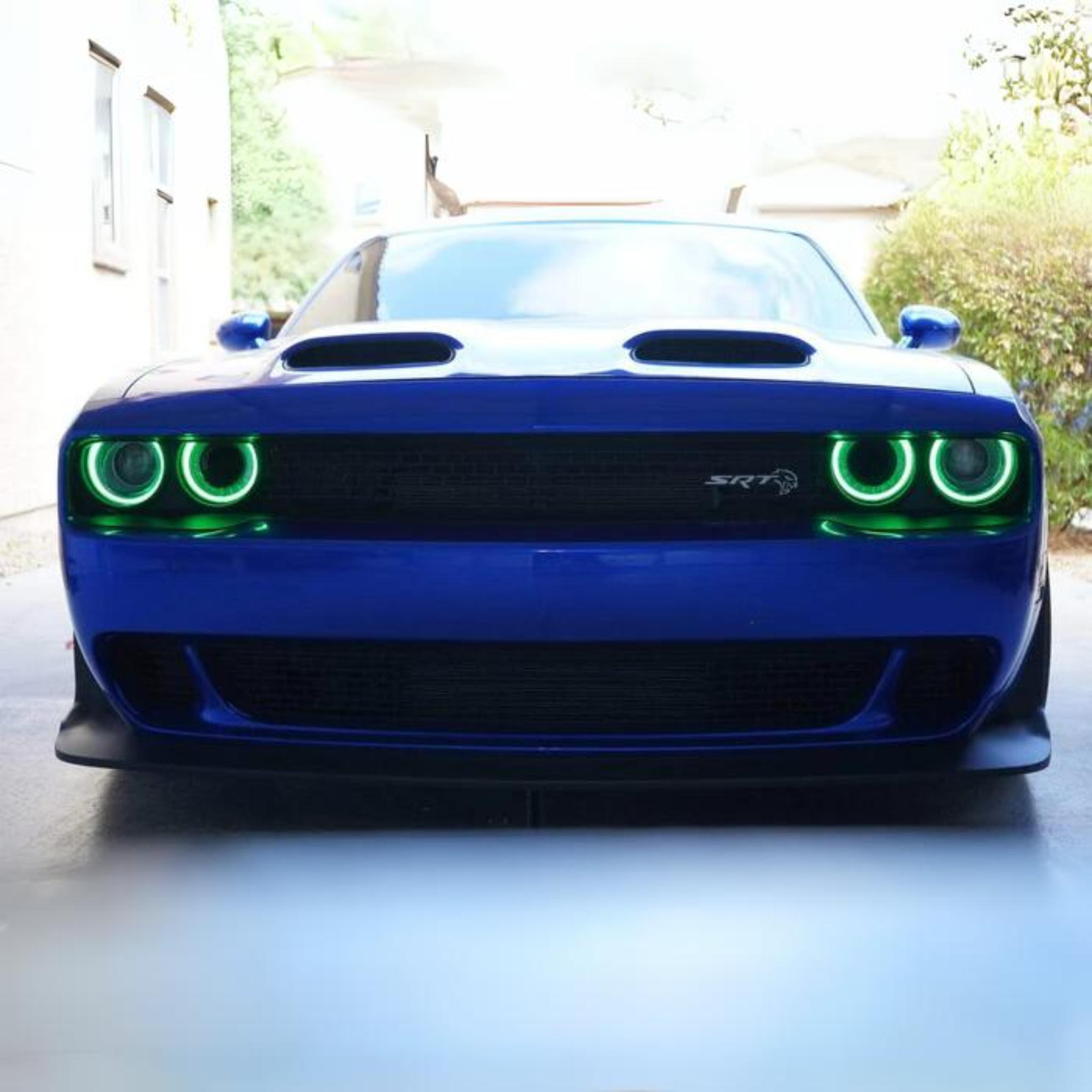 Dodge Challenger RGBW DRL Boards (2015-2024) – Custom Multicolor LED Lighting by RGB Halo Kits