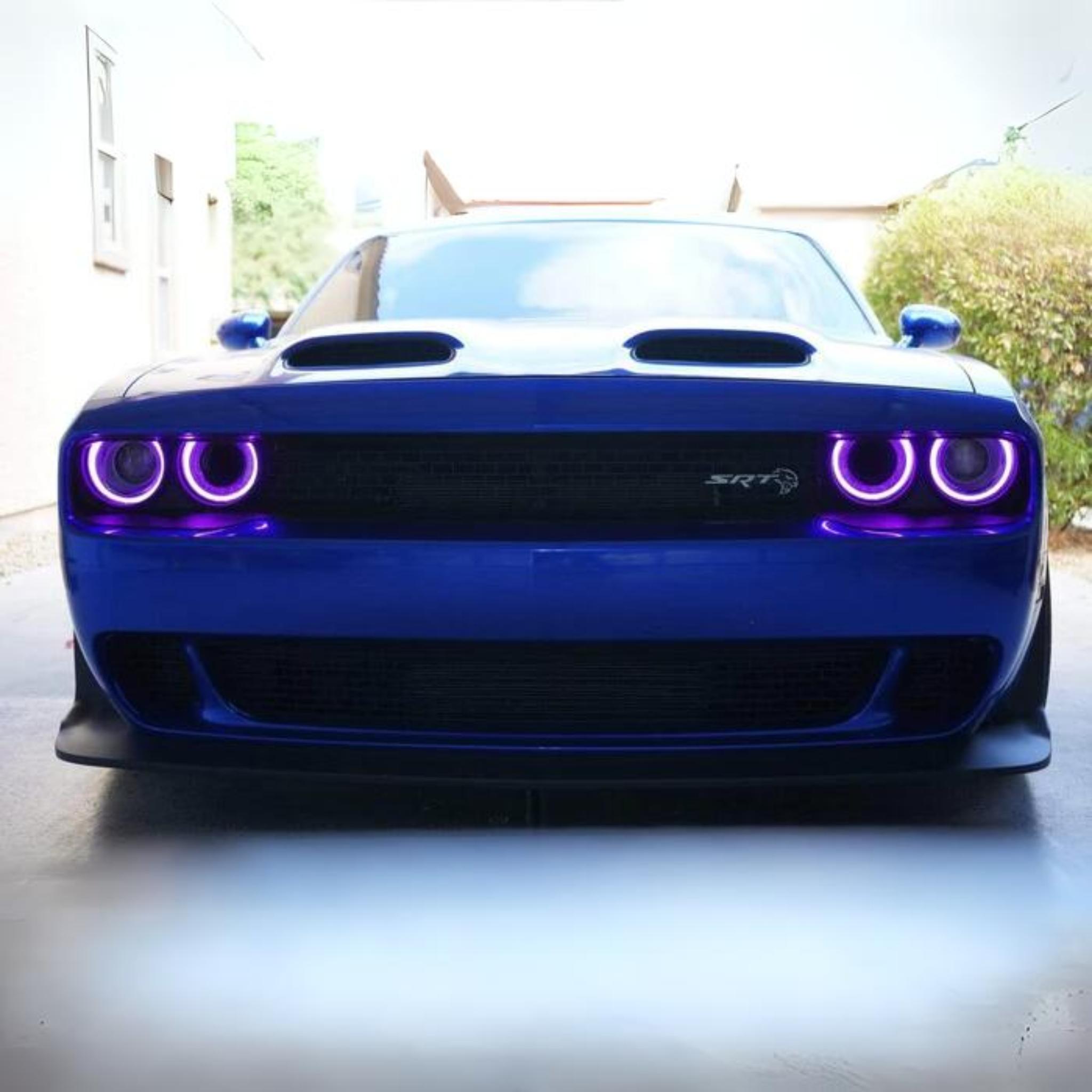 Dodge Challenger RGBW DRL Boards (2015-2024) – Custom Multicolor LED Lighting by RGB Halo Kits