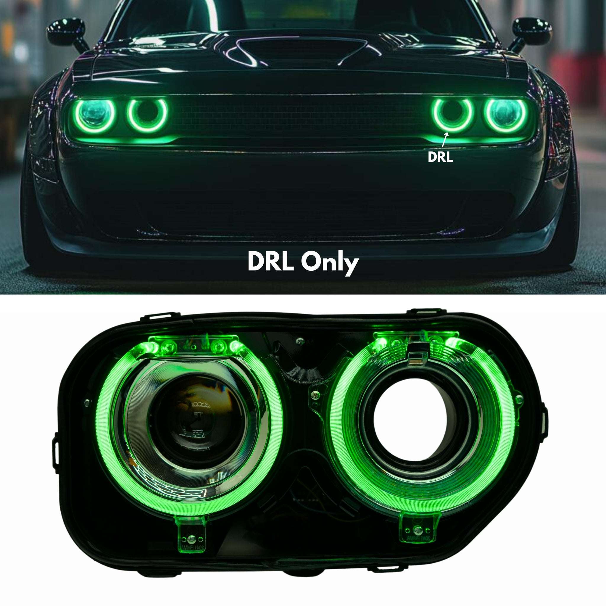 Dodge Challenger RGBW DRL Boards (2015-2024) – Custom Multicolor LED Lighting by RGB Halo Kits