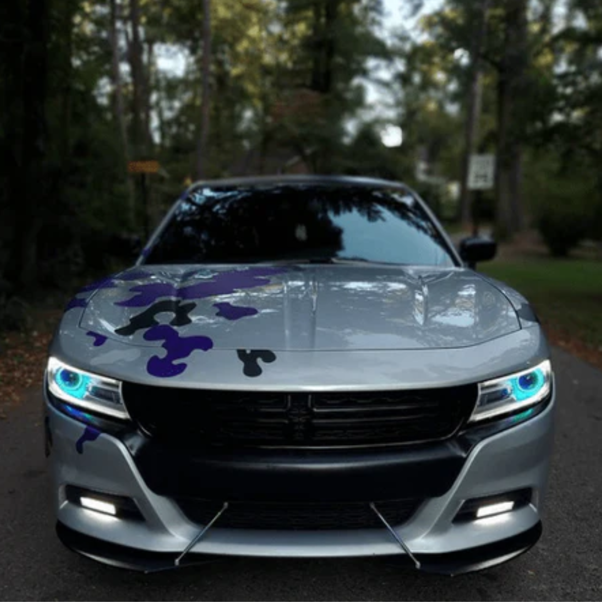 Dodge Charger Multicolor Halo Kit (2015-2023) – Custom Multicolor LED Lighting by RGB Halo Kits