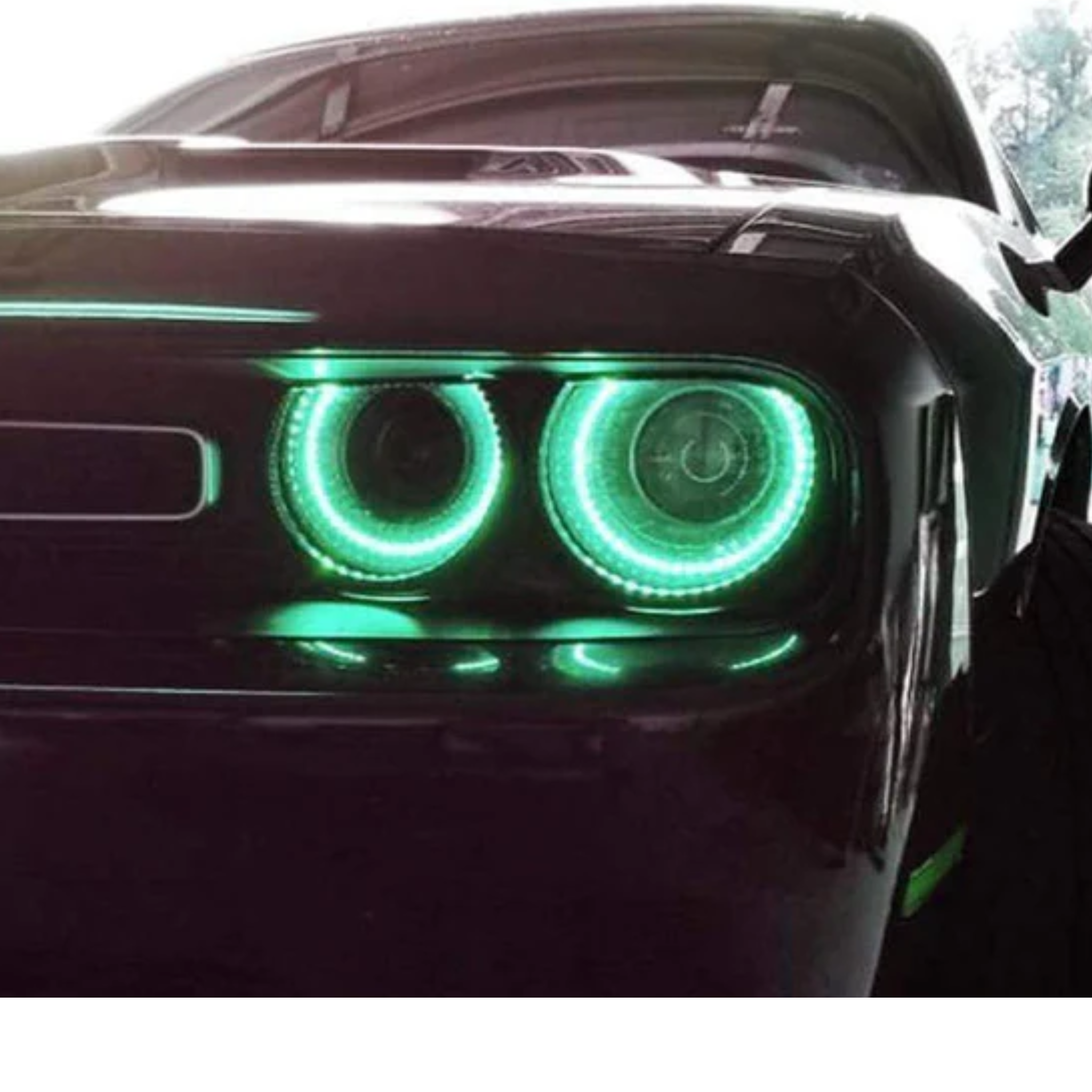 Dodge Challenger Waterproof External Mount Multicolor Halo Kit (2015-2023) – Custom Multicolor LED Lighting by RGB Halo Kits