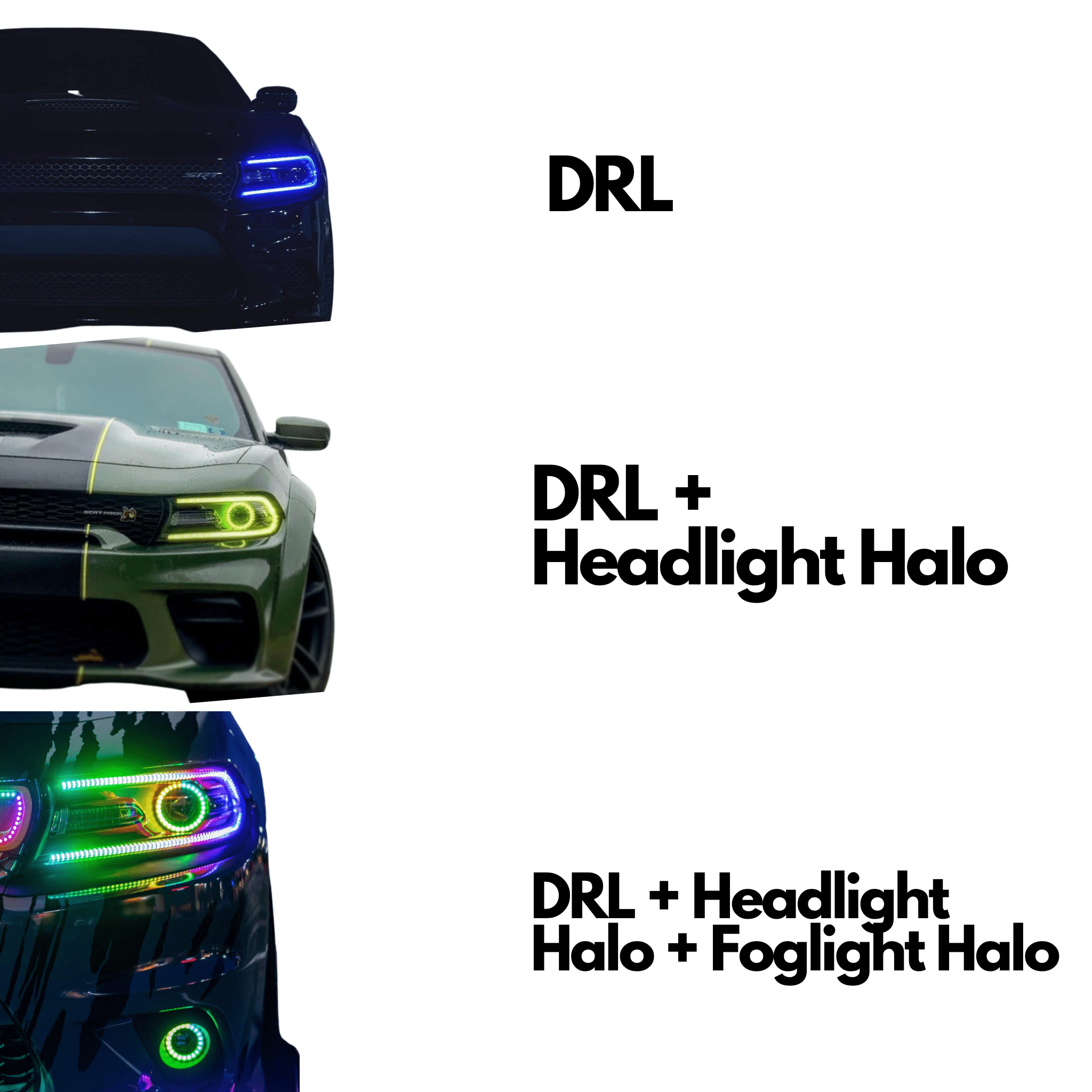 Red Interior Light Kit 2006-2010 2006-2010 Dodge Charger Red LED Interior Light Kit - 12 Bulbs, 2-Year Warranty Dodge Charger LED Lights Red Interior Light Kit 2006-2010 2006-2010 Dodge Charger Red LED Interior Light Kit - 12 Bulbs, 2-Year Warranty Dodge Charger LED Lights