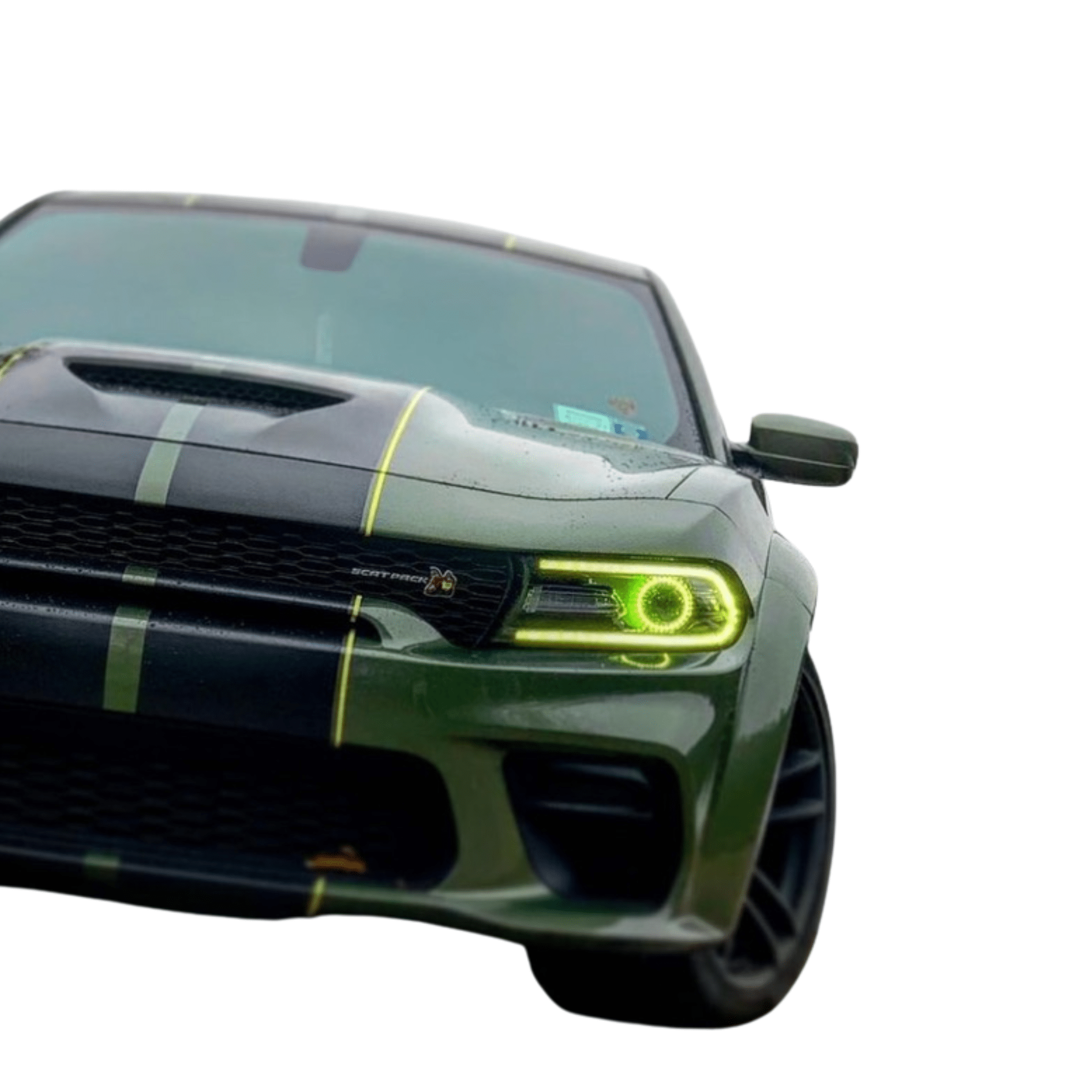 2015-2023 Dodge Charger RGBW DRL Boards - RGB Halo Kits Multicolor Flow Series Color Chasing RGBWA LED headlight kit Oracle Lighting Trendz OneUpLighting Morimoto theretrofitsource AutoLEDTech Diode Dynamics
