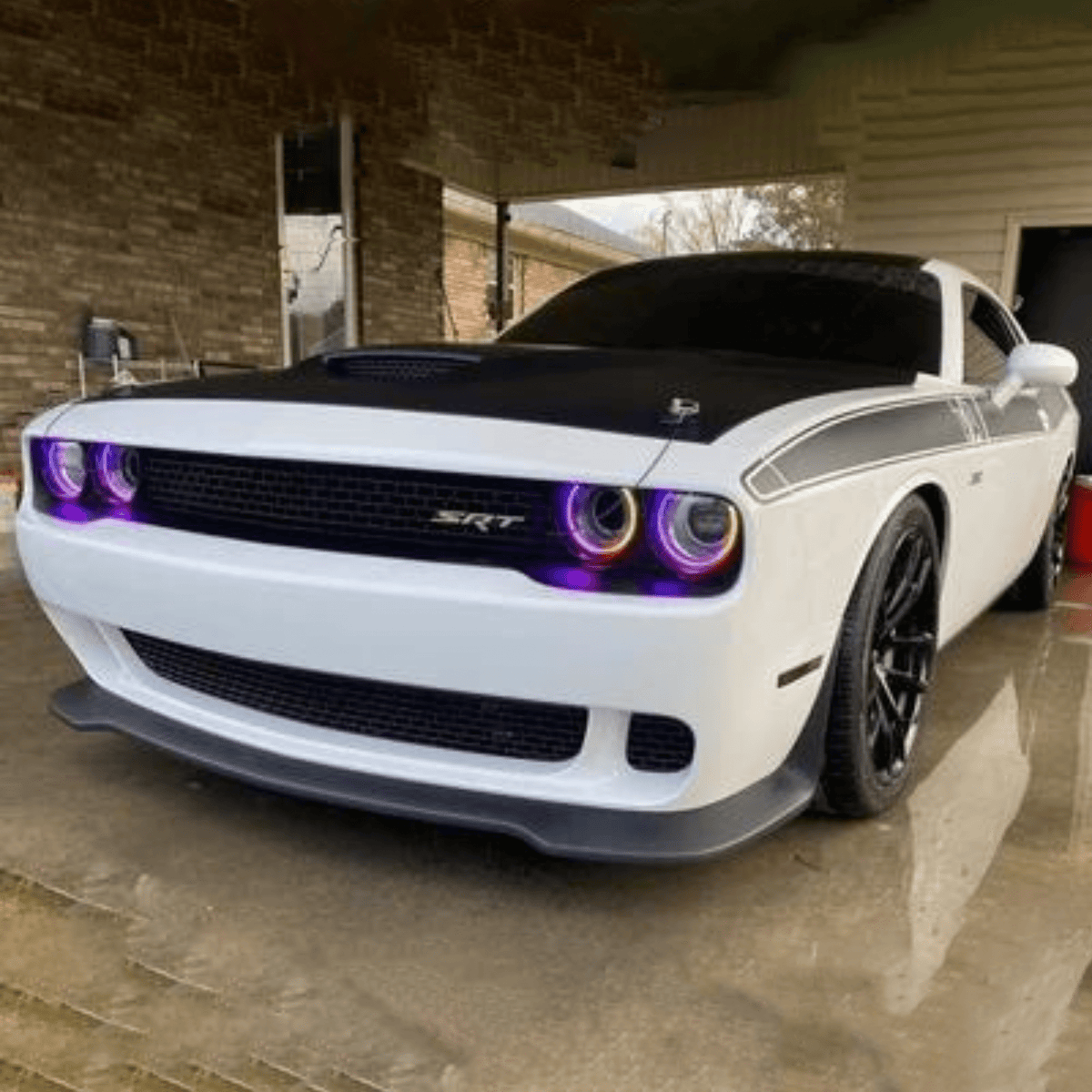 Dodge Challenger Multicolor Halo Kit (2015-2024)